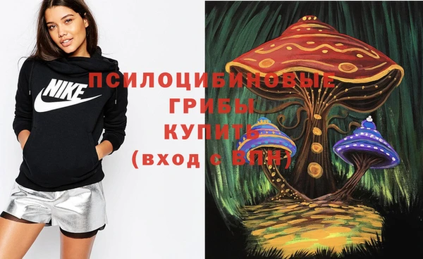 соль курить ск Мурманск