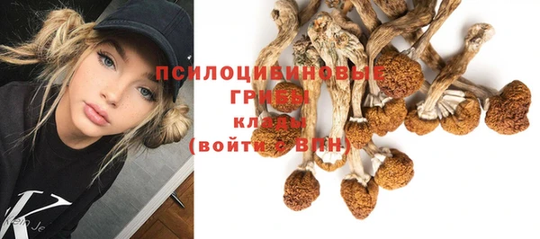 твердый Богородск