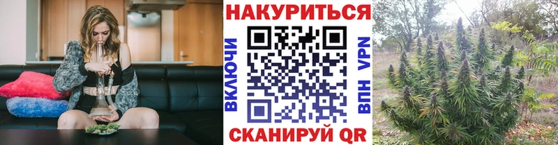 нарко площадка Telegram  Гай  omg ссылки  Каннабис семена  где купить наркоту 